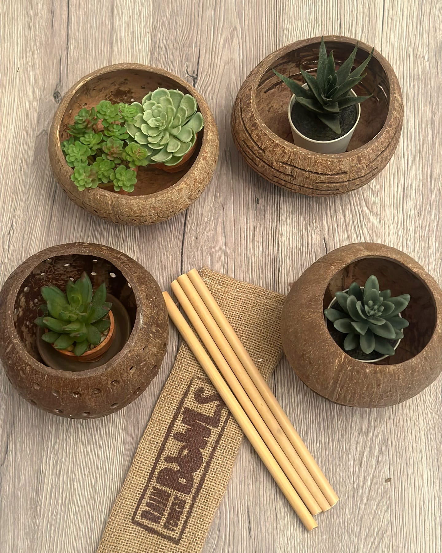 carved wooden bowl planter
