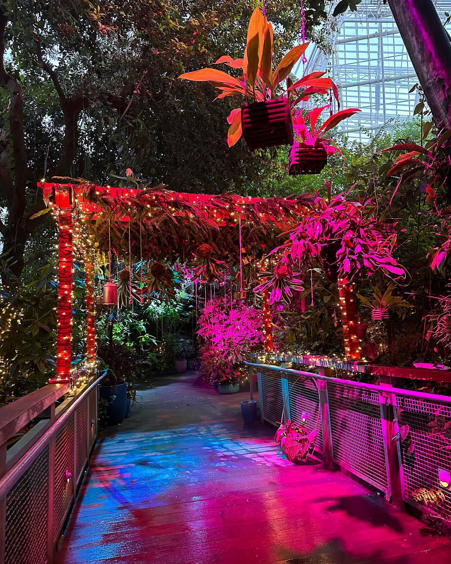 themed lighting for a garden party