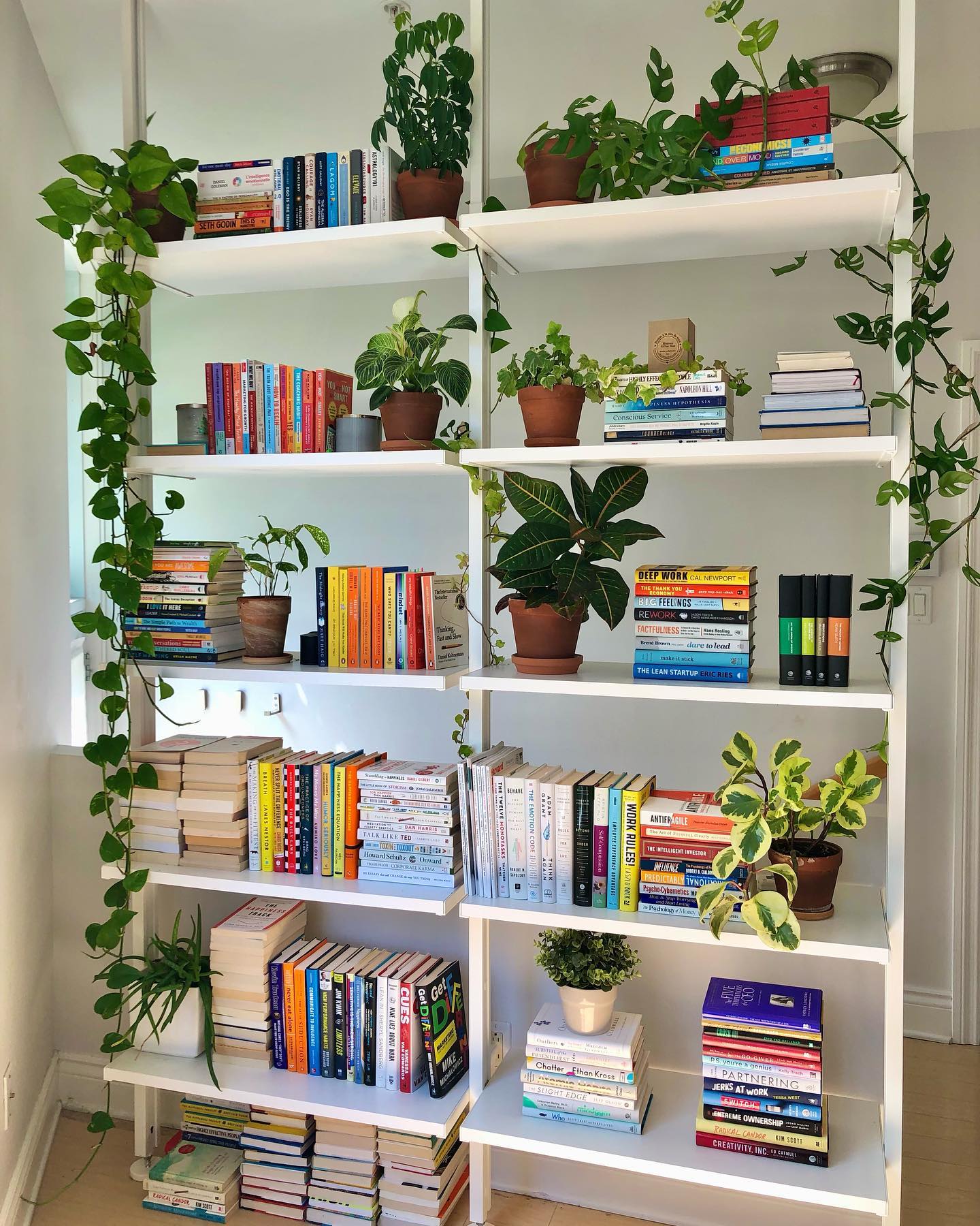 illuminated bookshelf corner