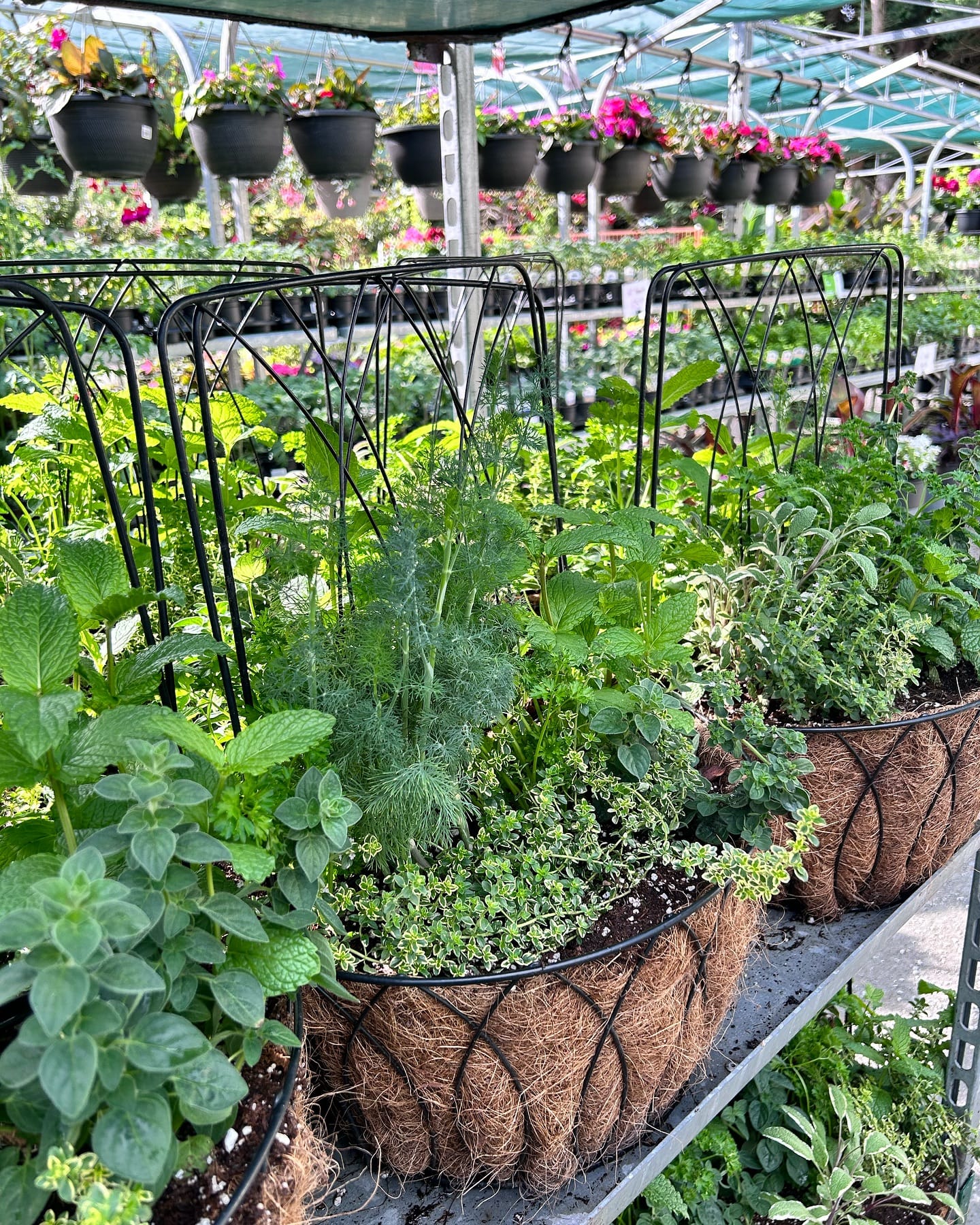 modular herb planters on island