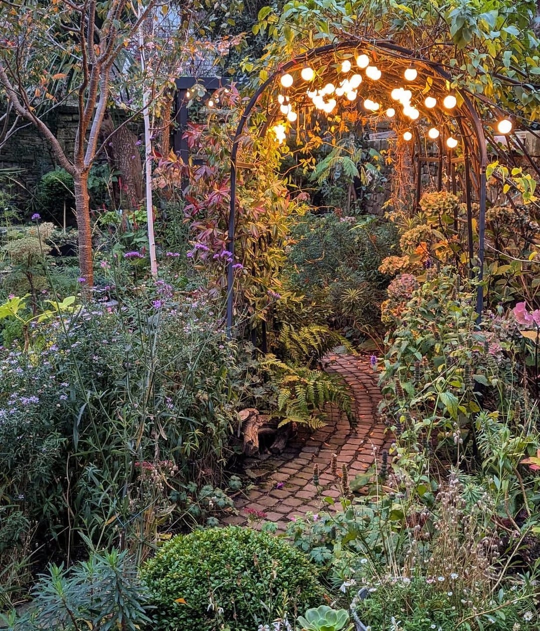 track lighting over indoor plants