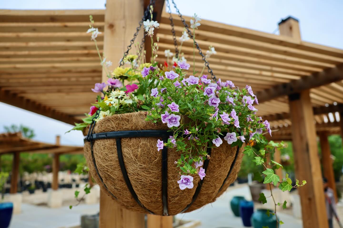 flowering colander hanging
