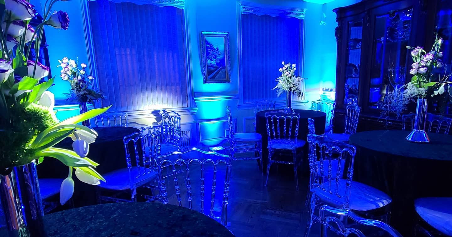blue hue on leafy indoor plants