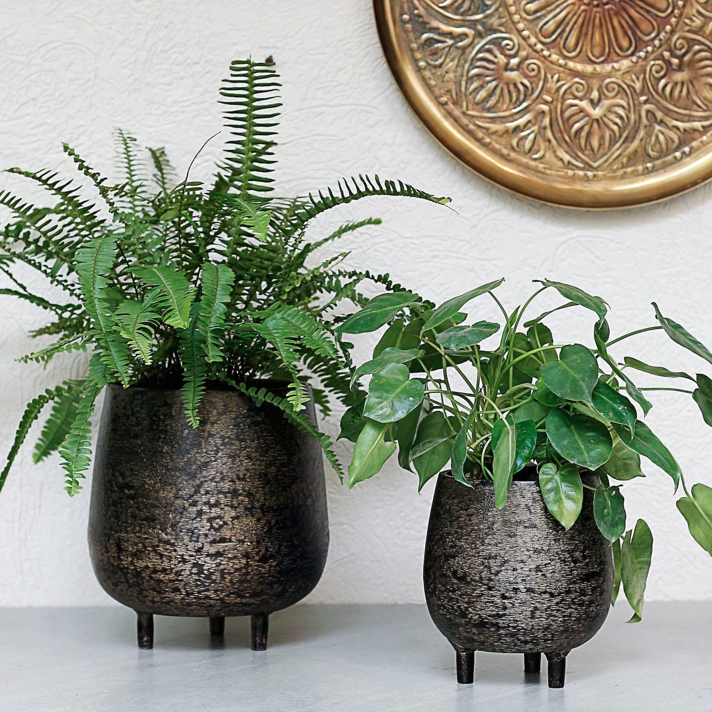 geometric metal planter with succulents