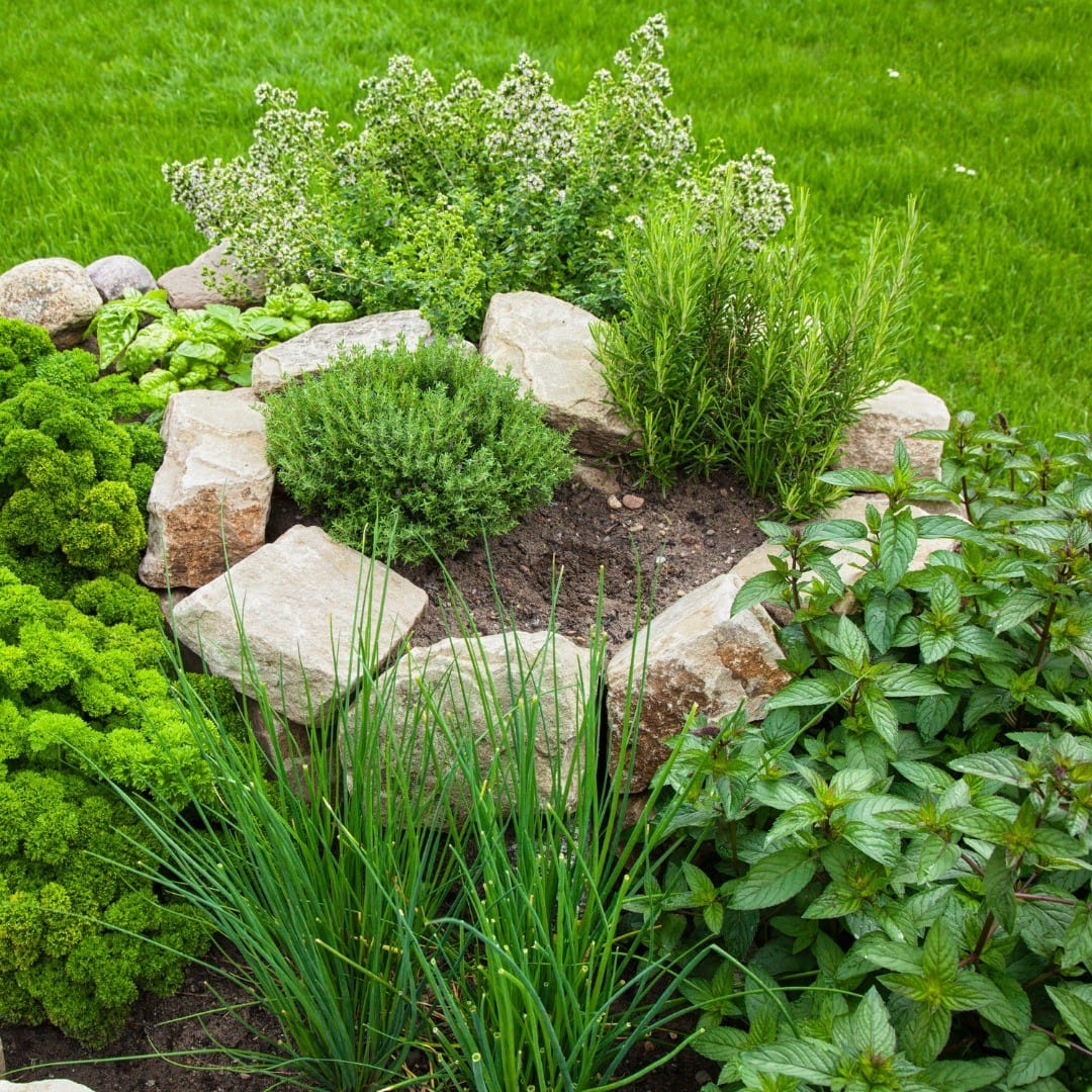 herb spiral tower on island