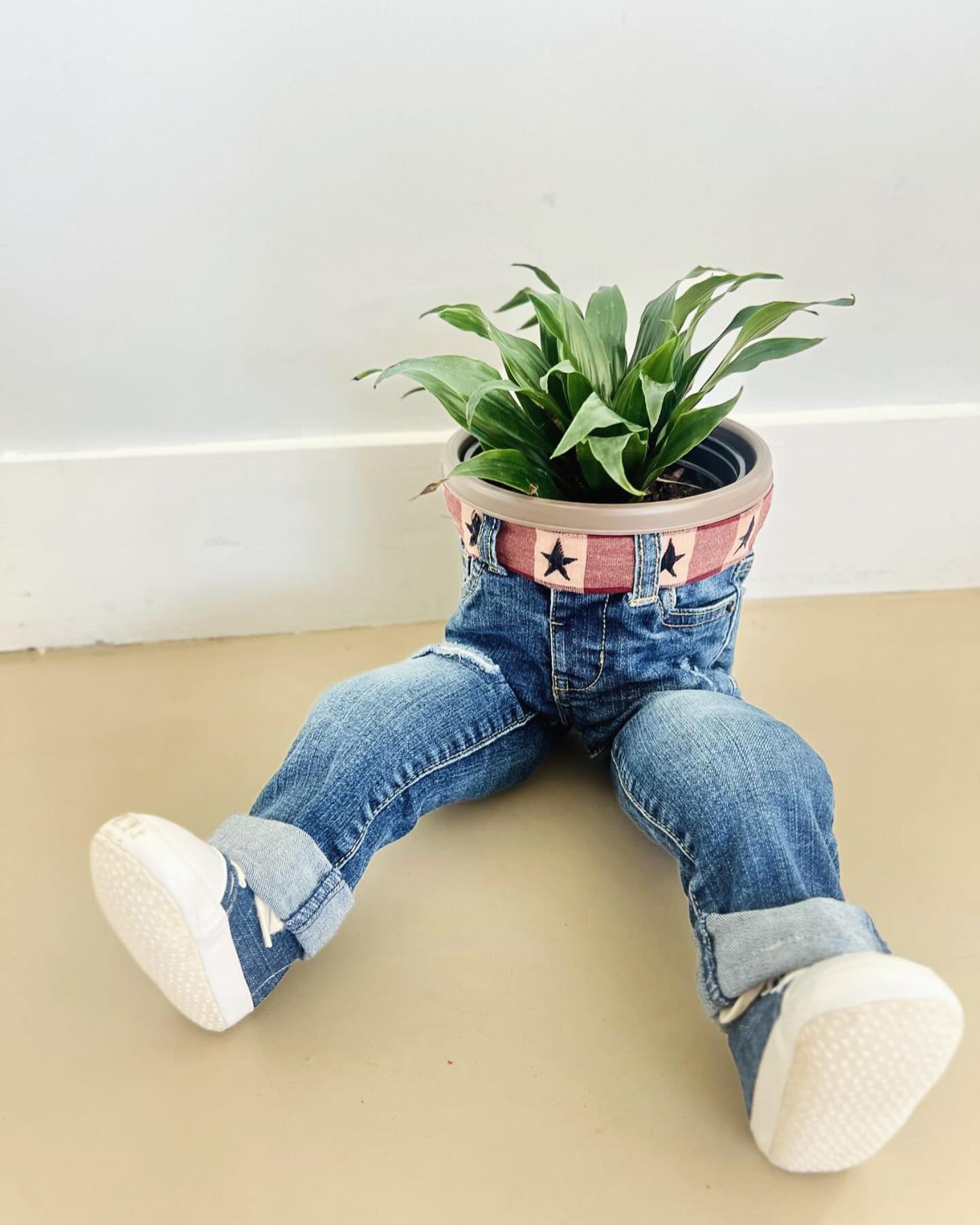jeans pocket with plants