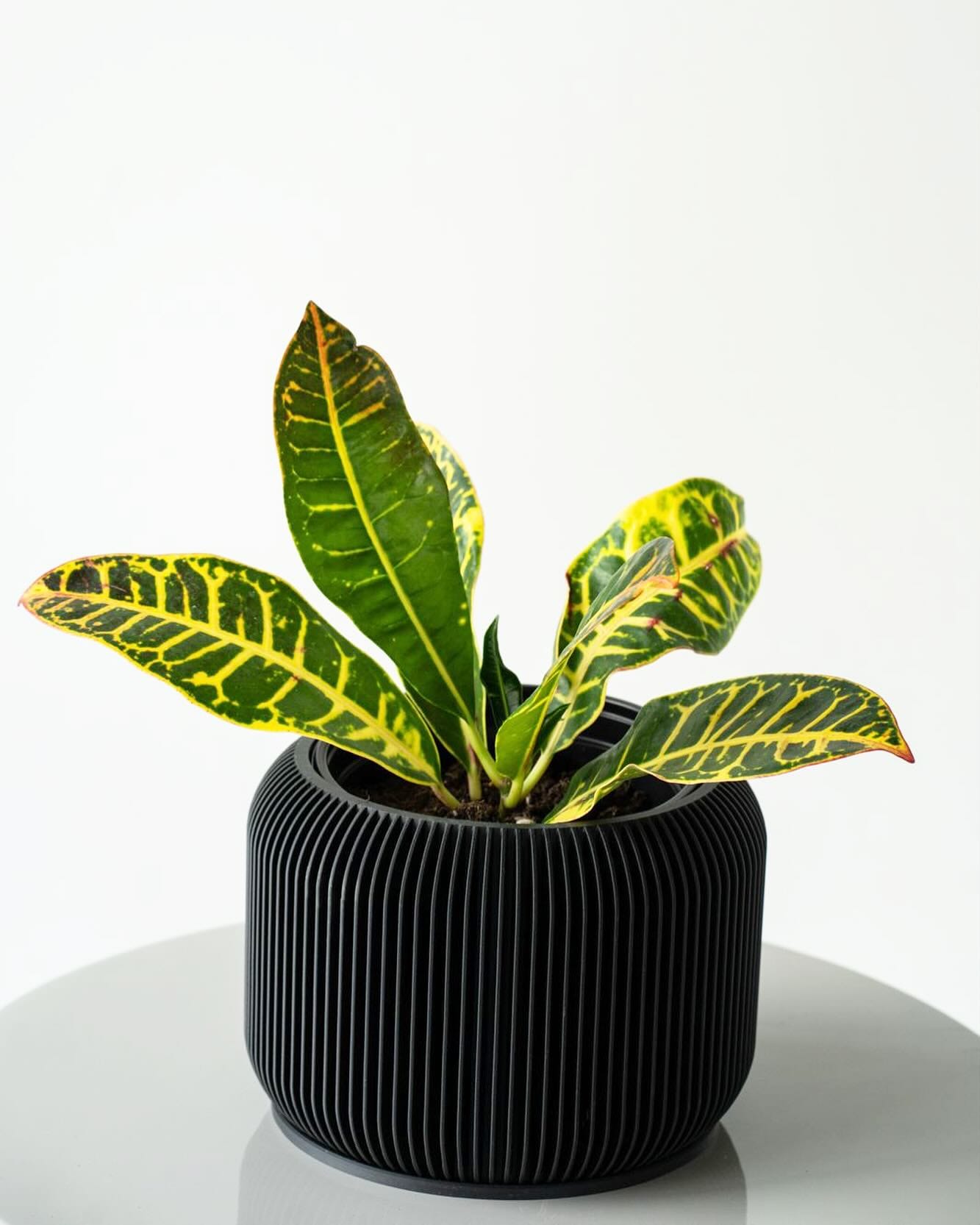 Black and white Scandinavian plant pots