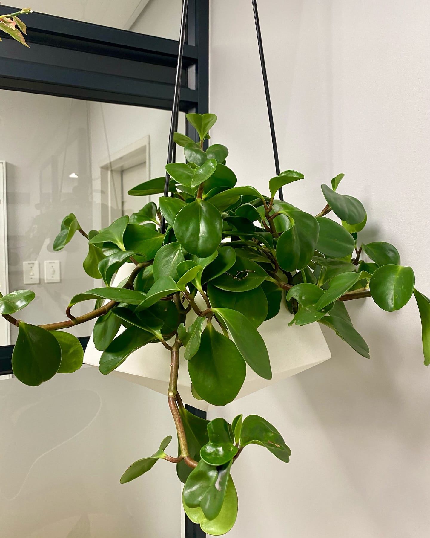 metal geometric hanging planter