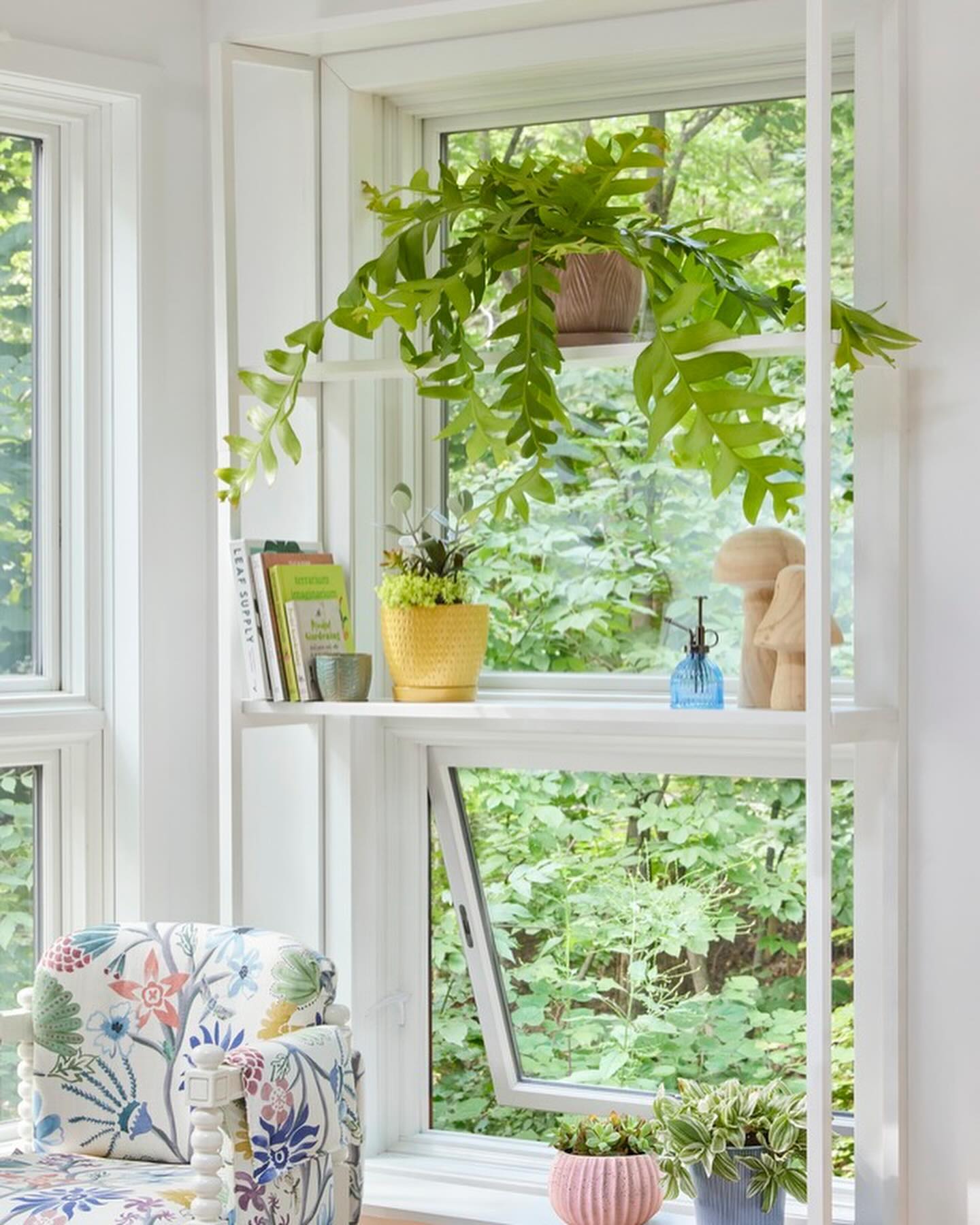 Indoor window surrounded by leafy plants