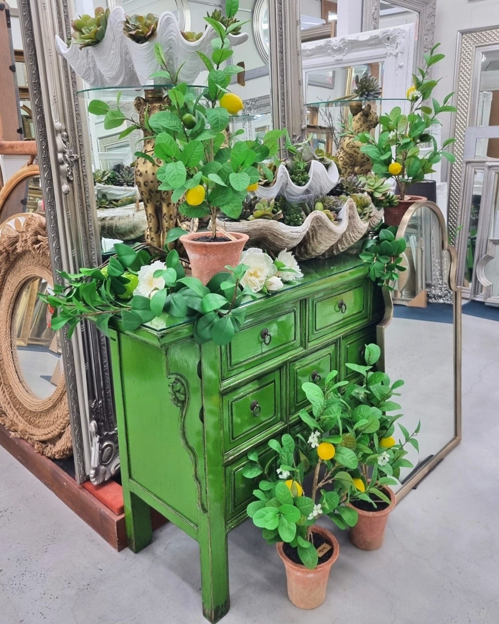 pendant mirror with hanging plant