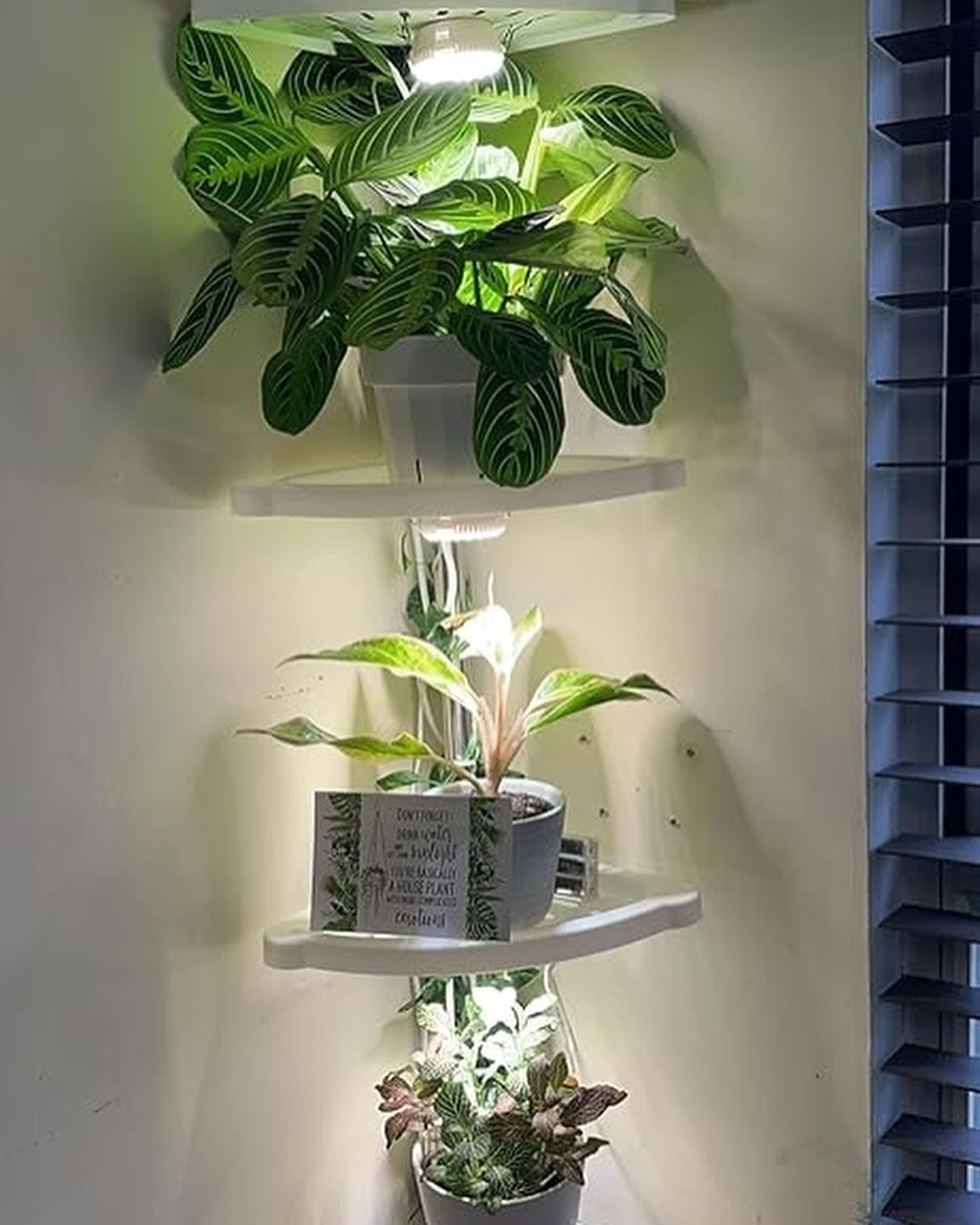 LED grow light above plants
