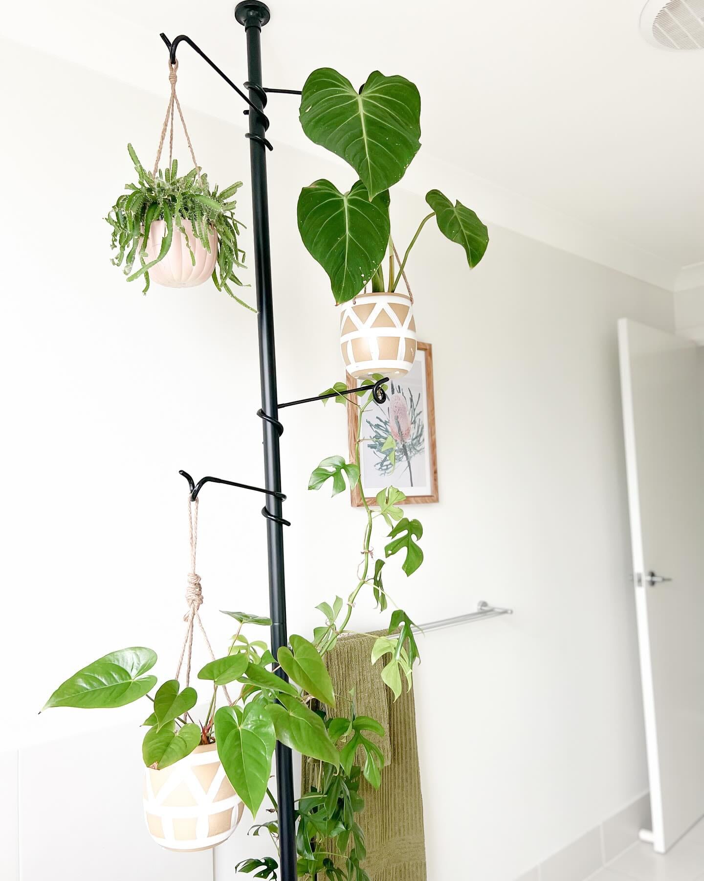 Sleek wire plant stands with succulents