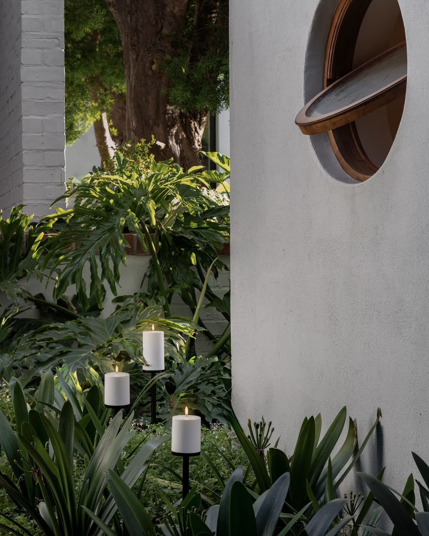 candles surrounding potted herbs