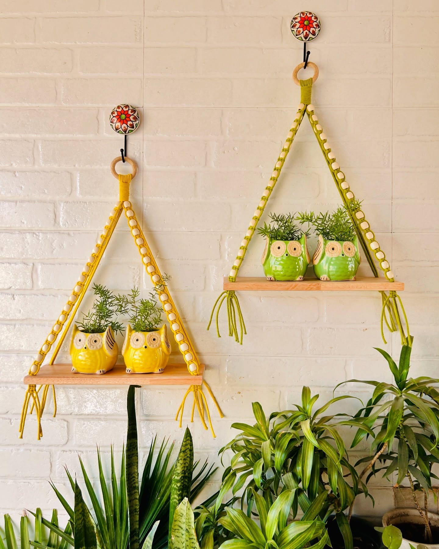Stairway decorated with macramé plant hangers