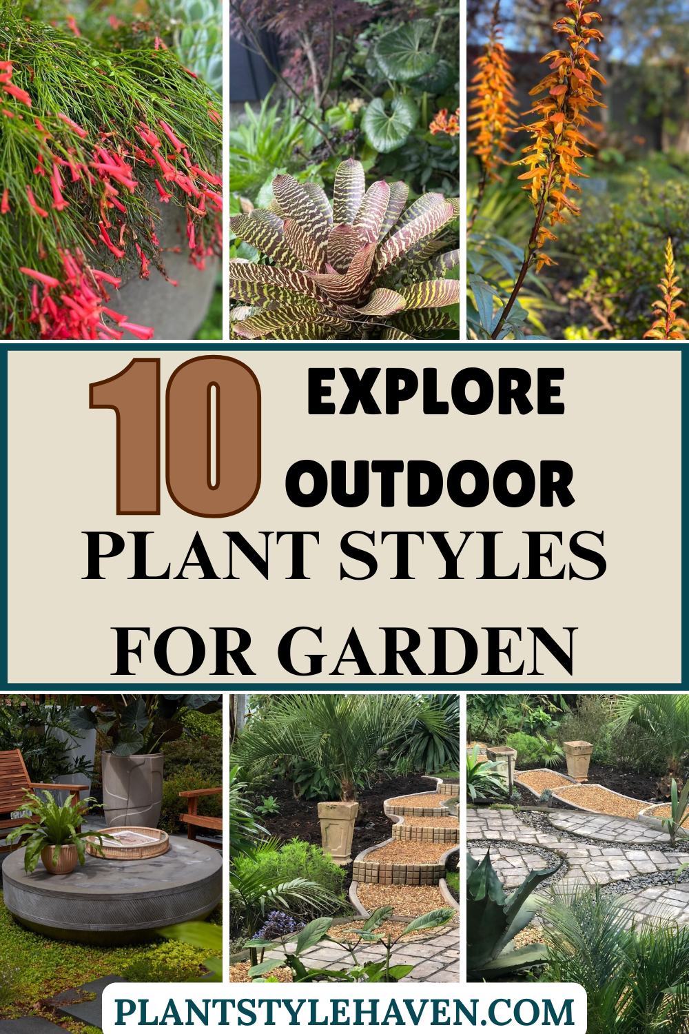 Explore Outdoor Plant Styles for Your Dream Garden