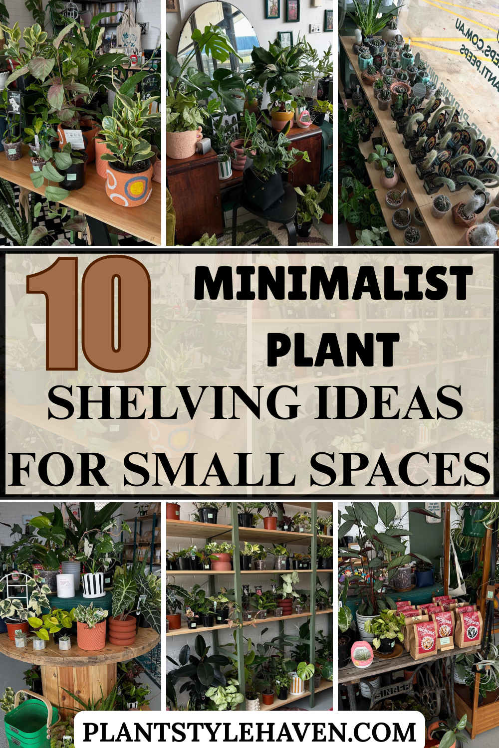 10 Minimalist Plant Shelving Ideas for Small Spaces