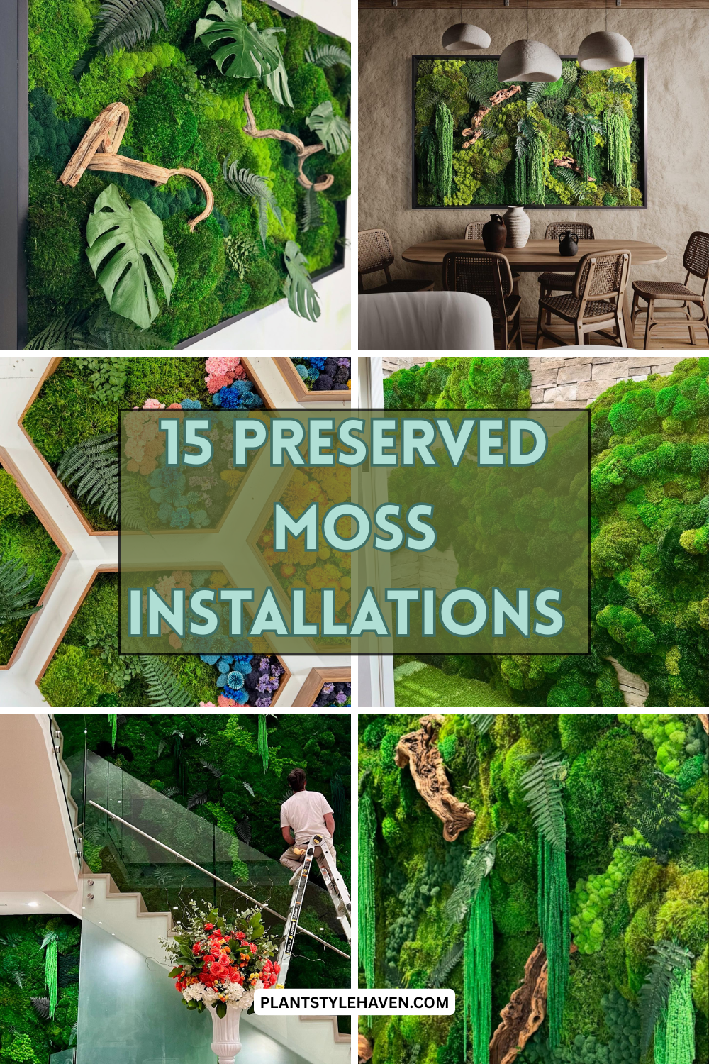 15 Stunning Preserved Moss Installations for Your Home