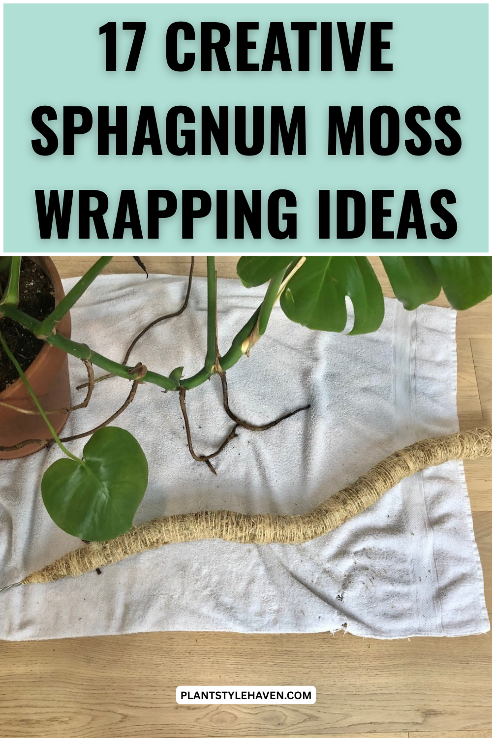 17 Creative Sphagnum Moss Wrapping Ideas for Plants