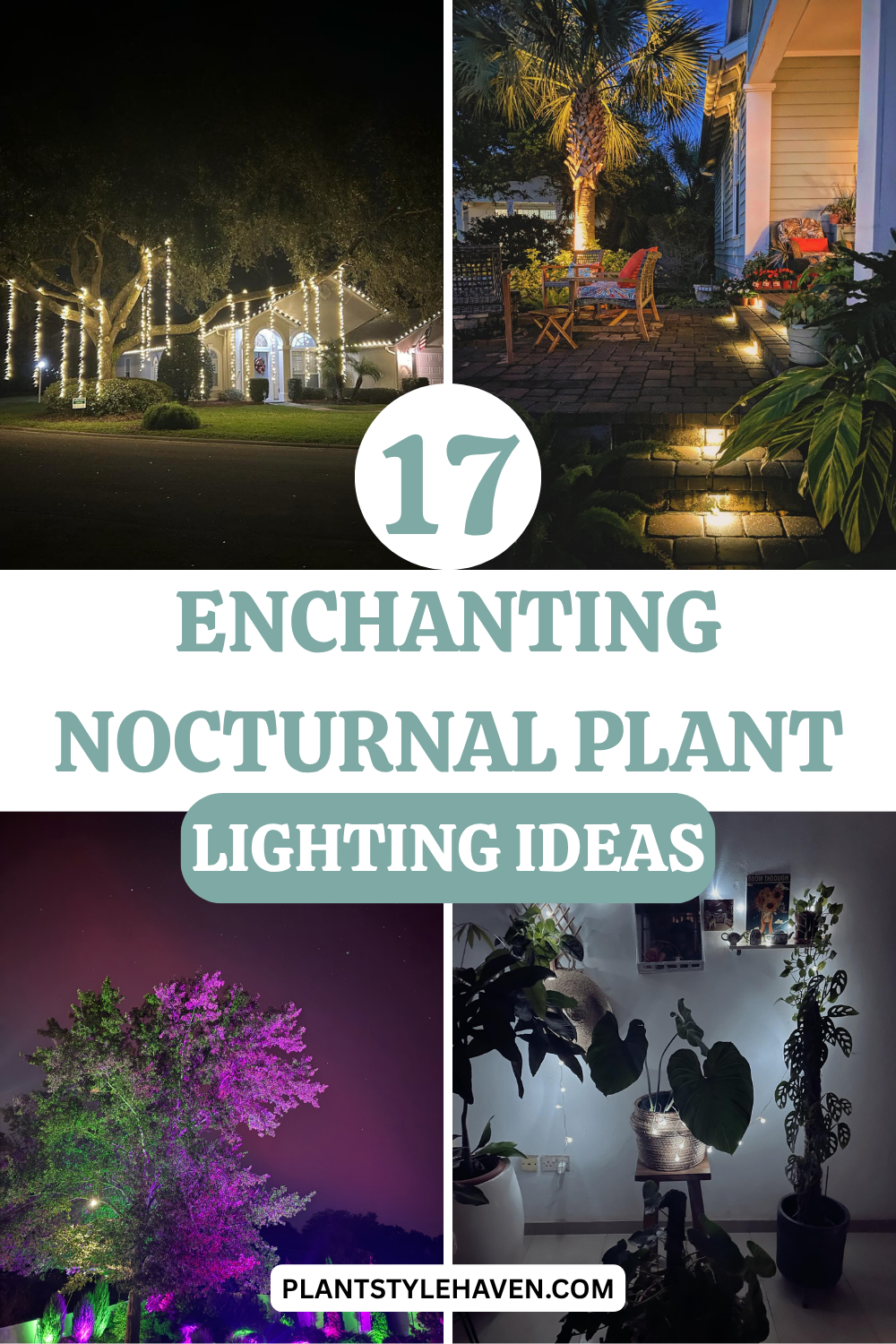 17 Enchanting Nocturnal Plant Lighting Ideas