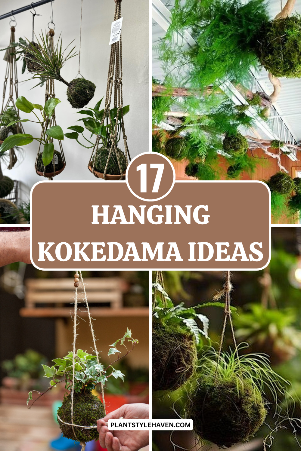 17 Hanging Kokedama Ideas to Transform Your Space