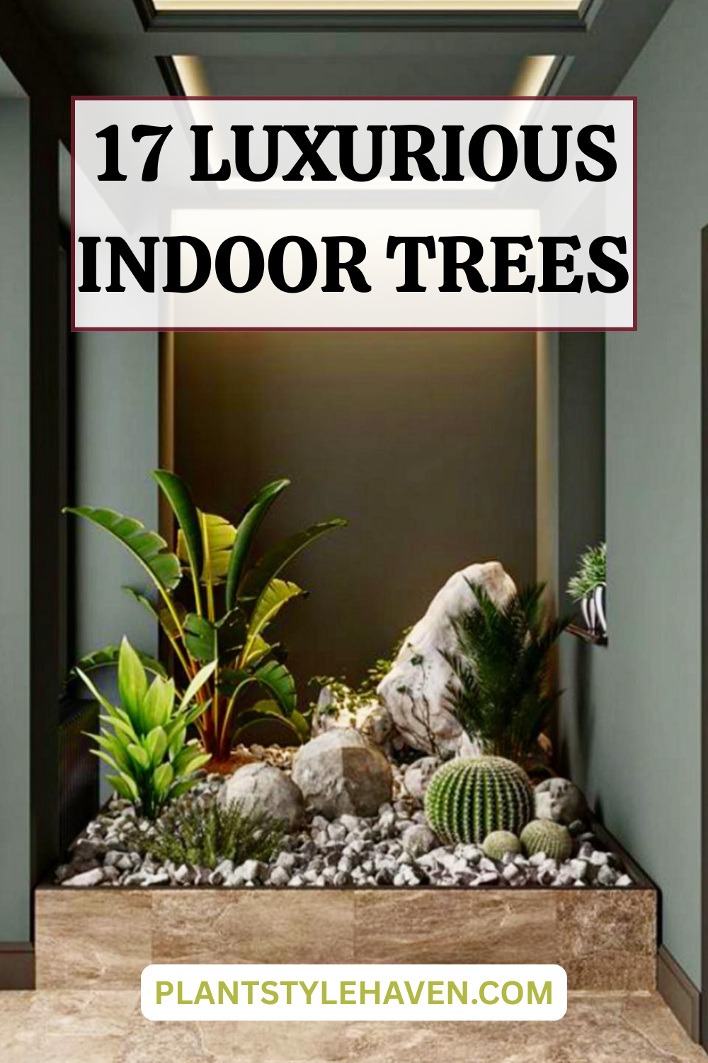 17 Luxurious Indoor Trees for Your Home Aesthetic