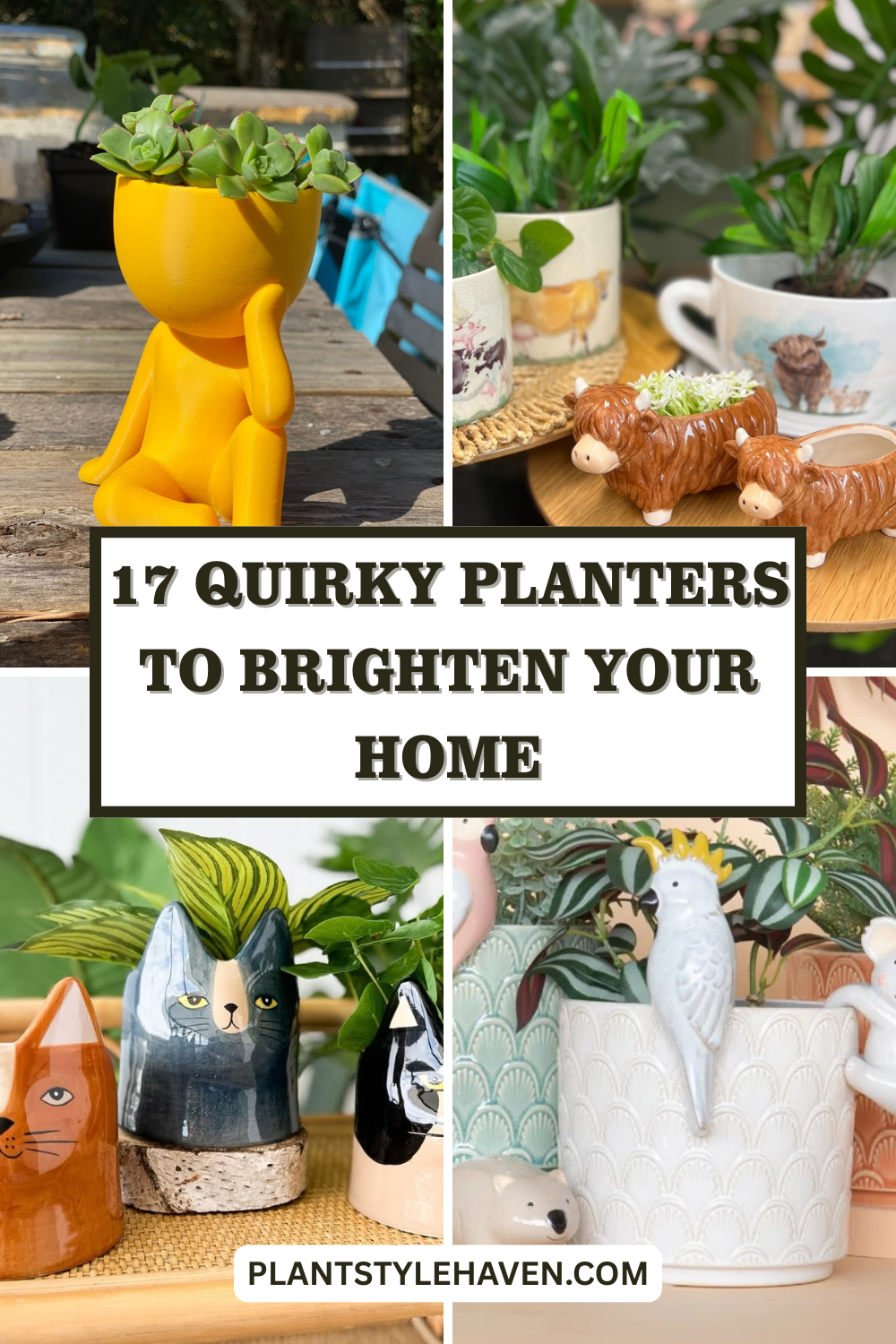 17 Quirky Planters to Brighten Your Home