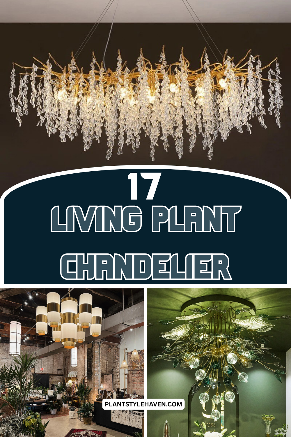 17 Stunning Living Plant Chandeliers to Transform Your Space