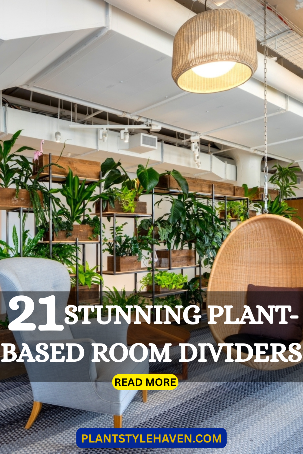 21 Stunning Plant-Based Room Dividers for Your Home