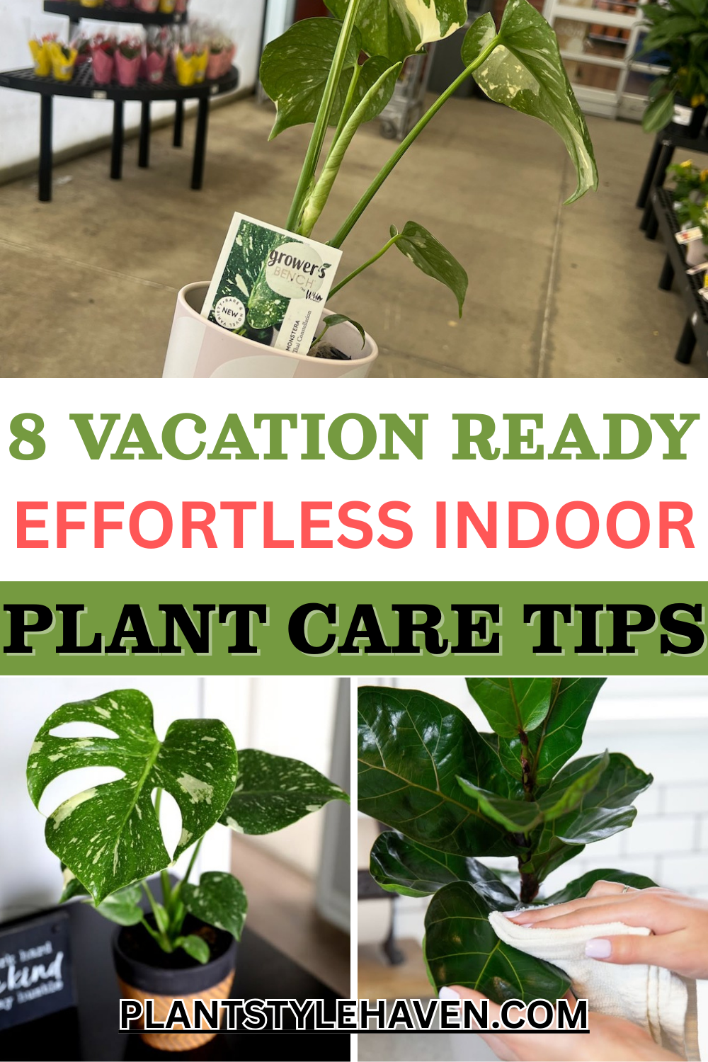 Vacation Ready: Effortless Indoor Plant Care Tips