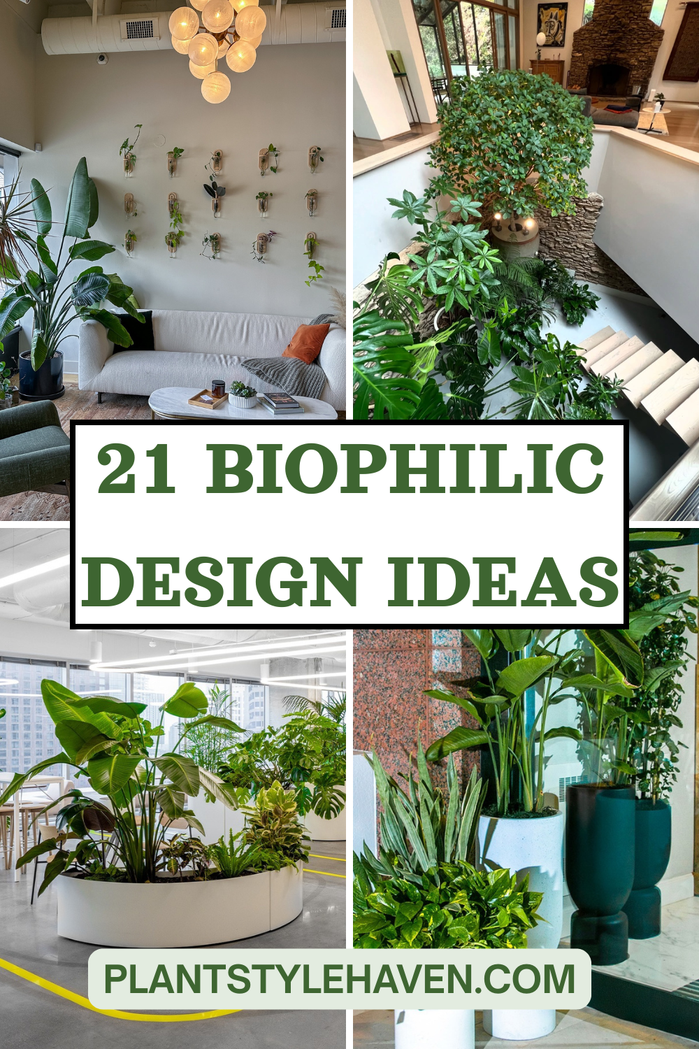 Revitalize Your Workspace with 21 Biophilic Design Ideas