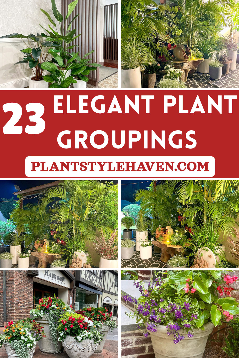 Transform Your Space with 23 Elegant Plant Groupings