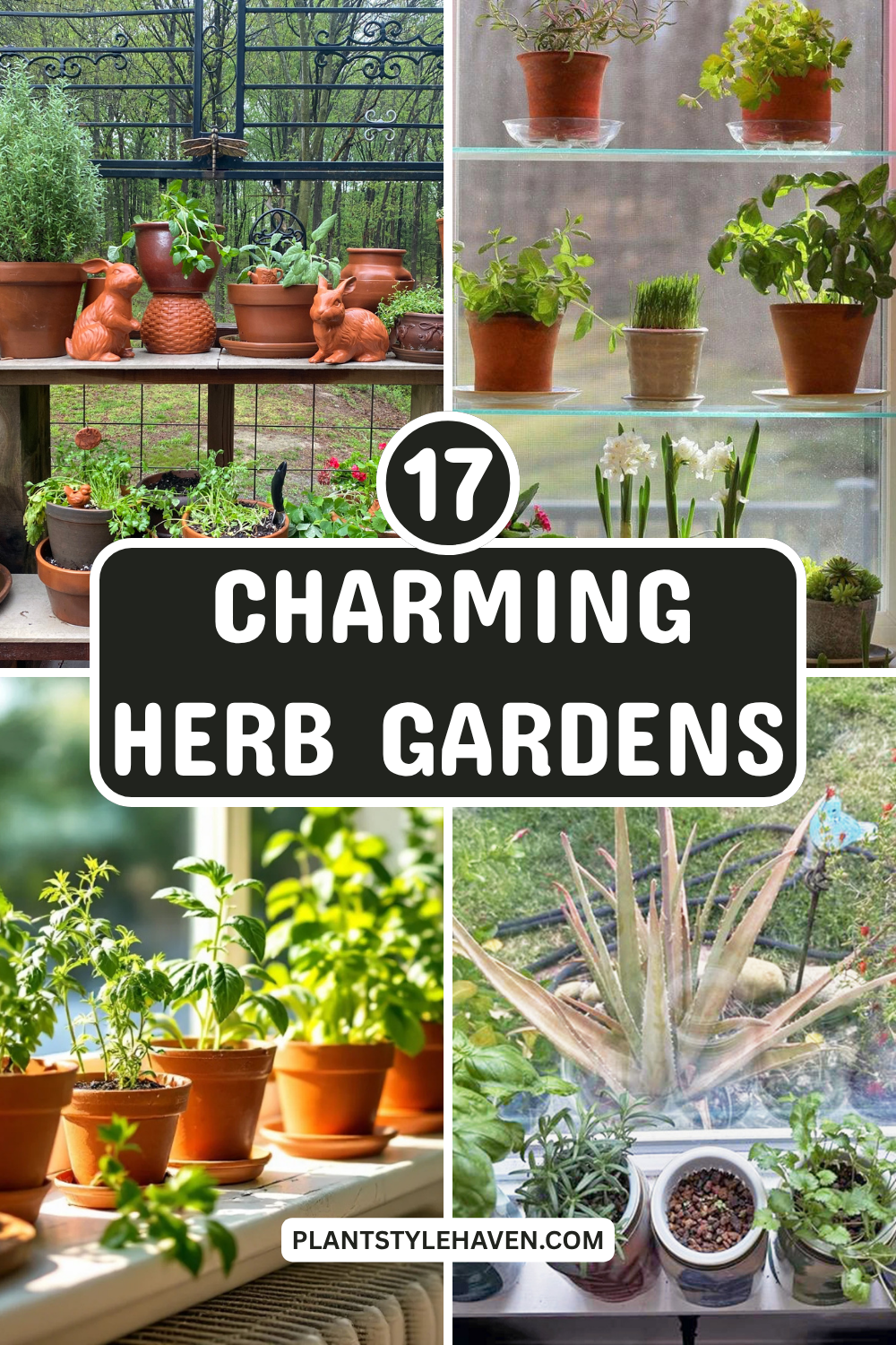 17 Charming Herb Gardens for Your Kitchen Window