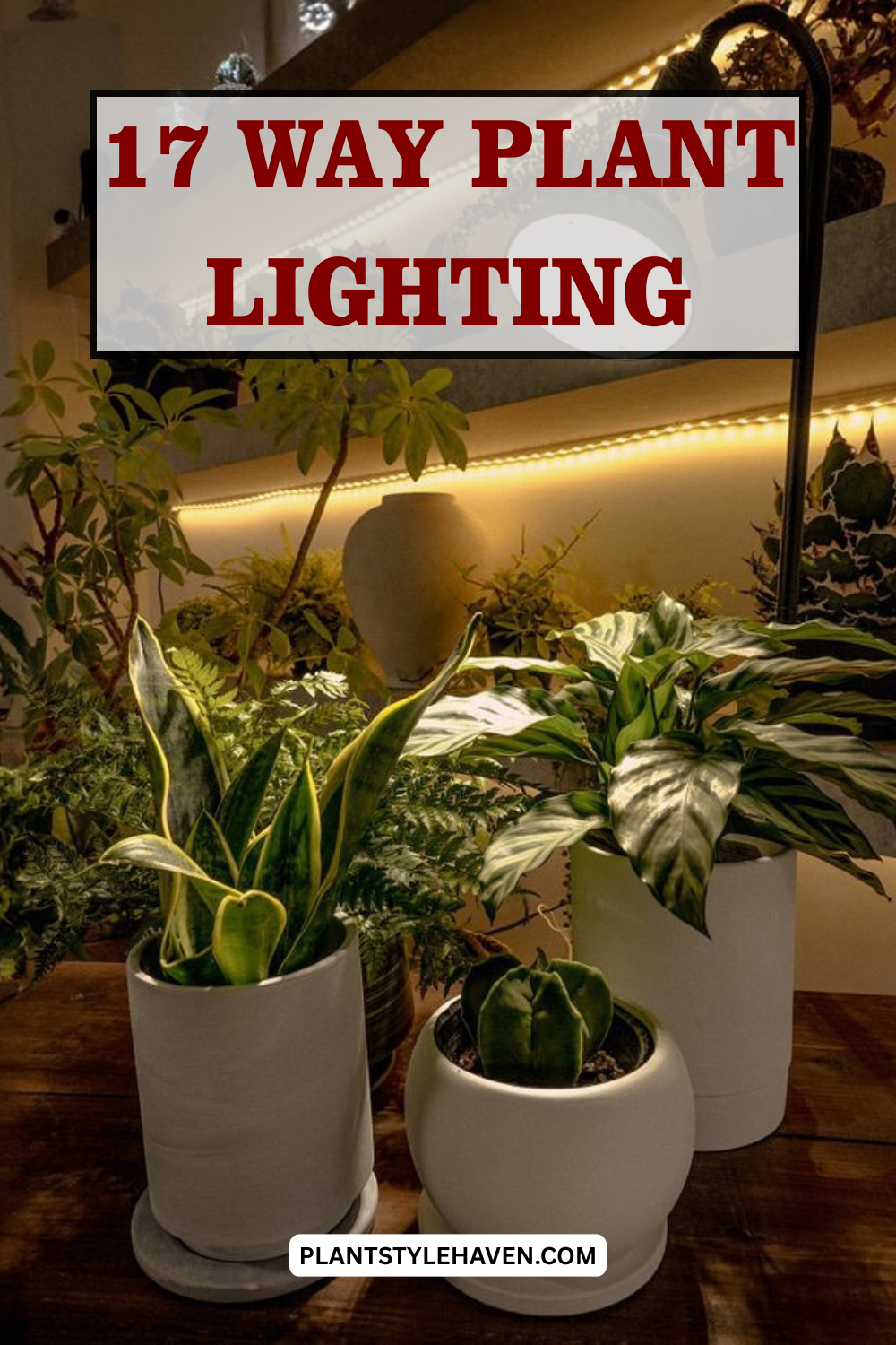 17 Creative Ways to Enhance Your Home with Plant Lighting
