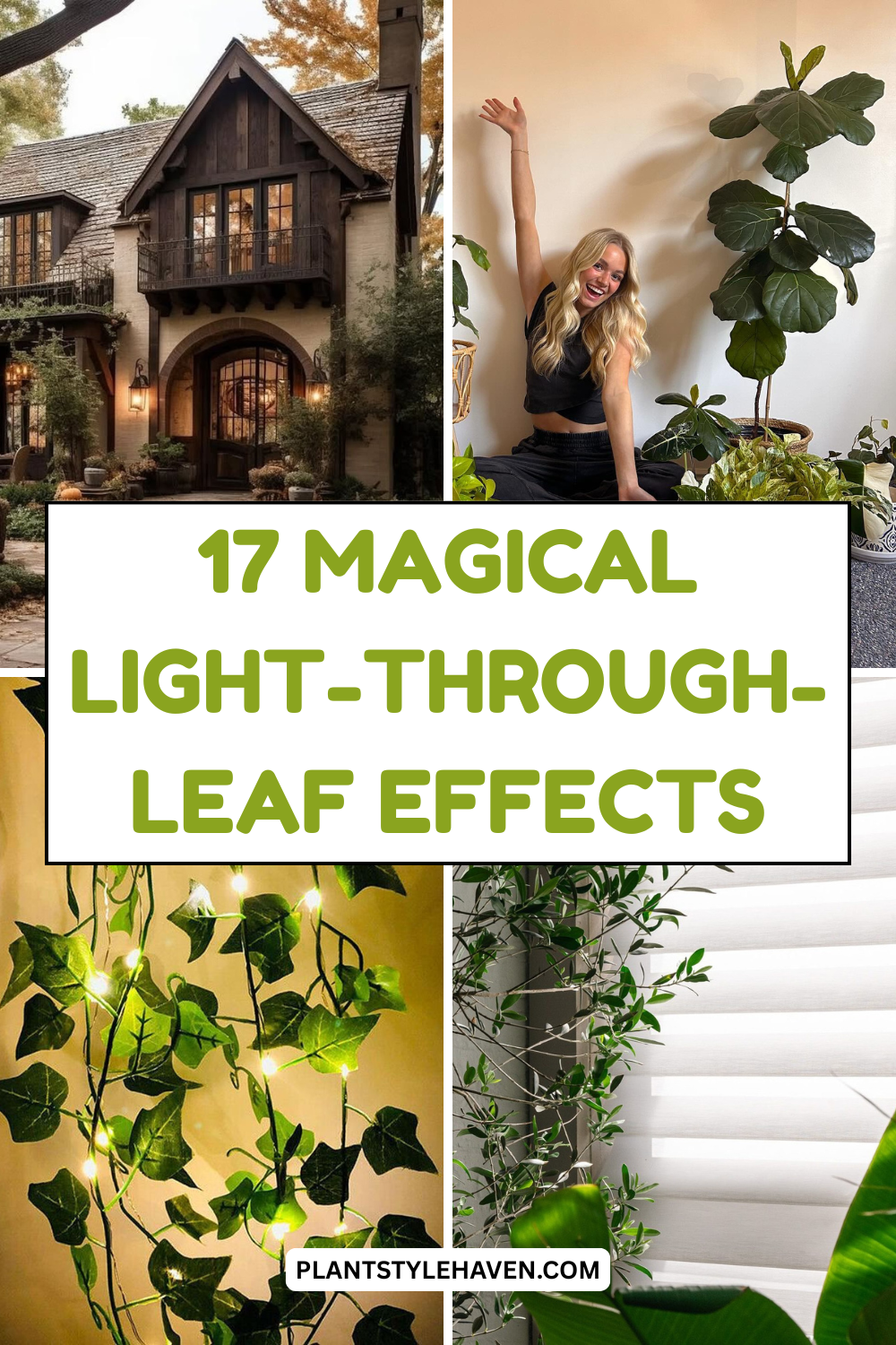 17 Magical Light-Through-Leaf Effects for Your Home