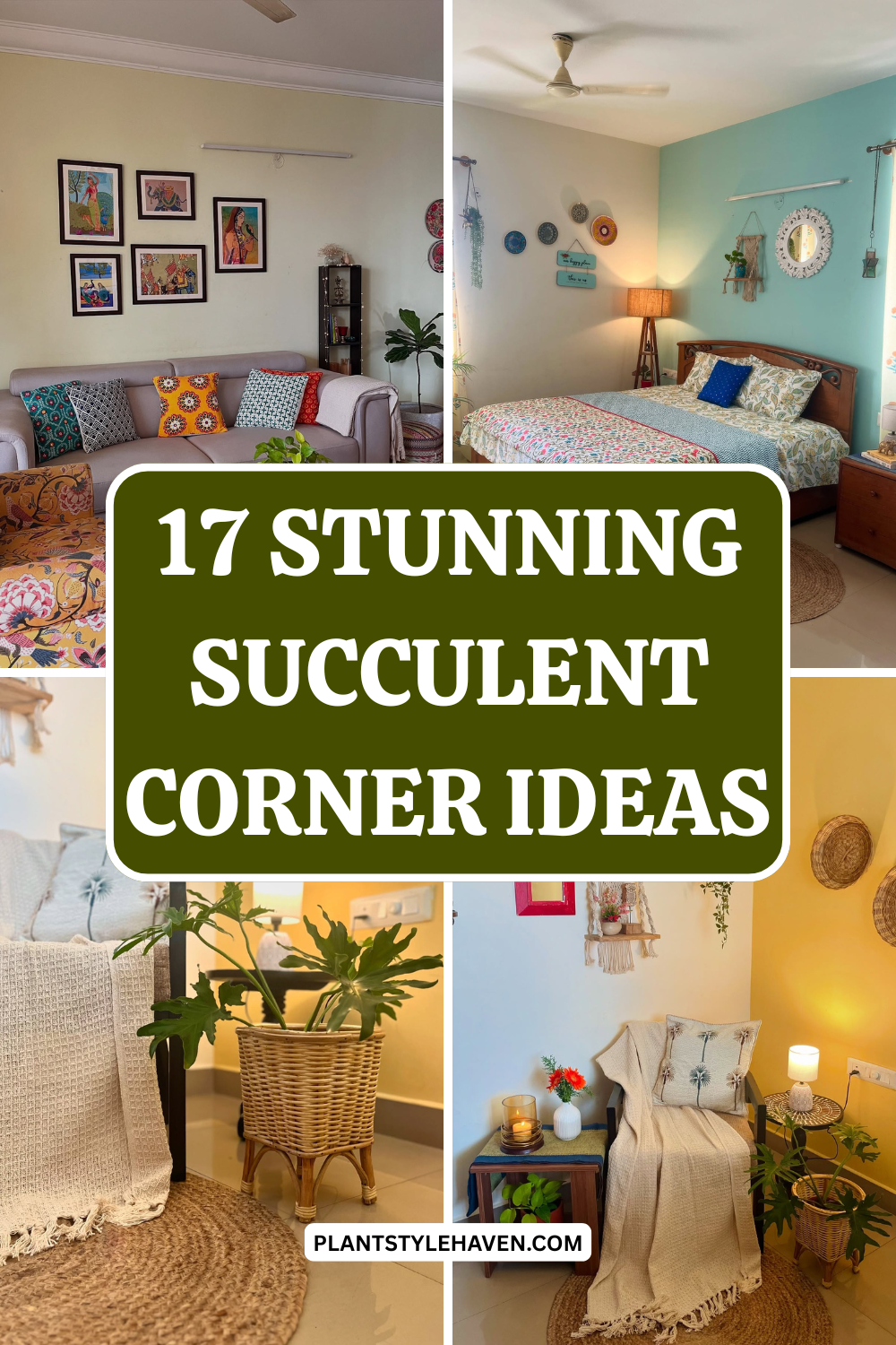 17 Stunning Succulent Corner Ideas for Your Home