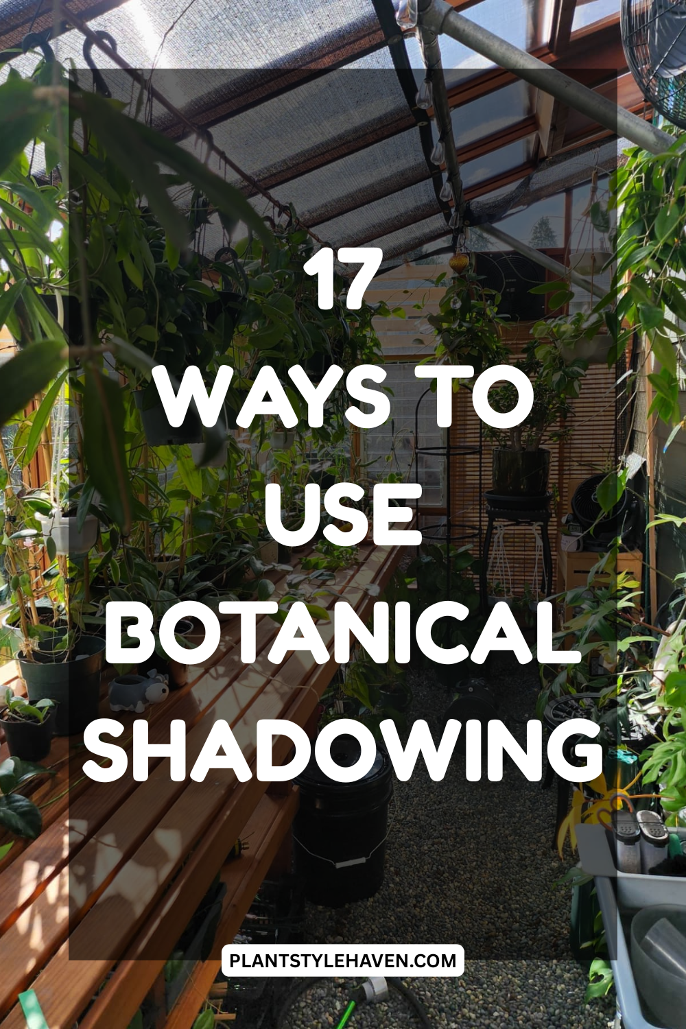 17 Ways to Use Botanical Shadowing to Transform Your Space