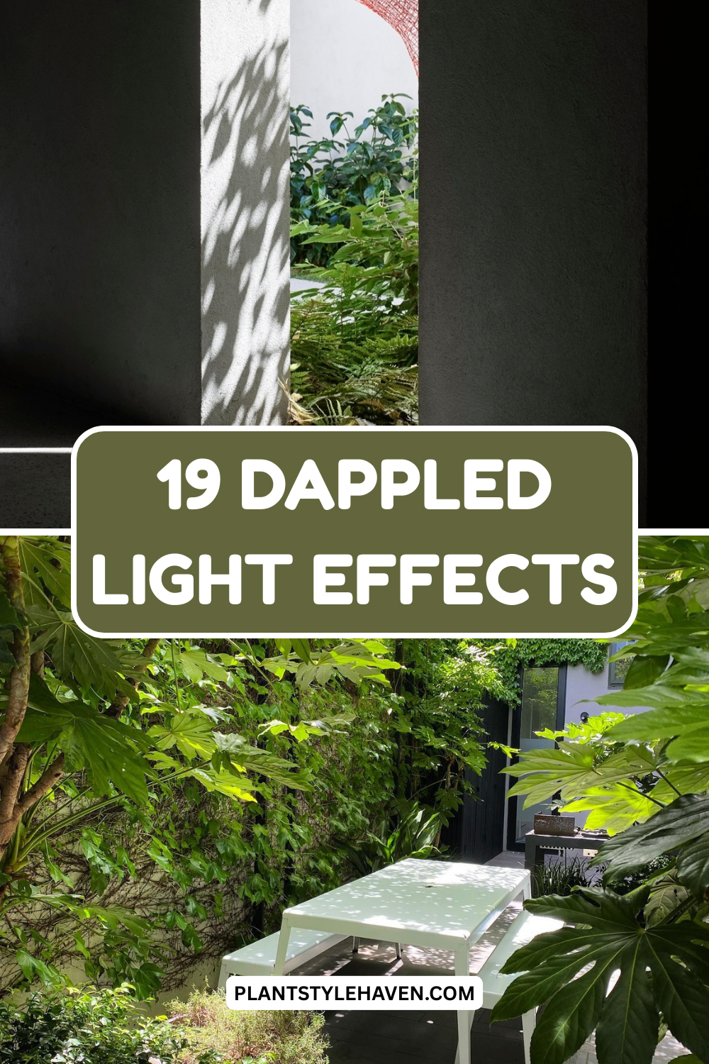19 Creative Techniques for Stunning Dappled Light Effects