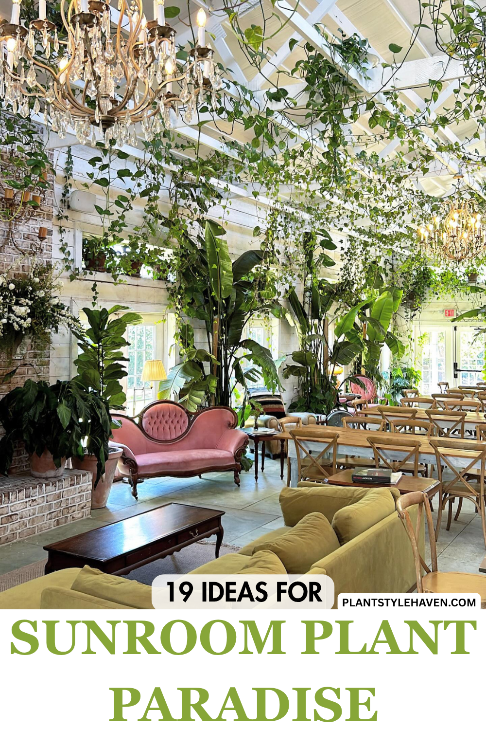 19 Ideas for a Stunning Sunroom Plant Paradise