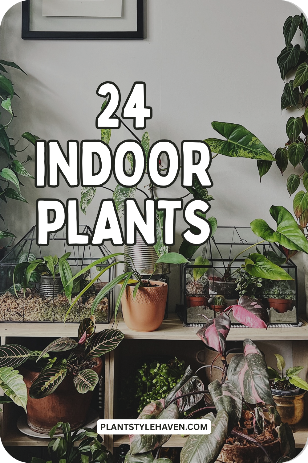 24 Indoor Plants That Elevate Your Interiors