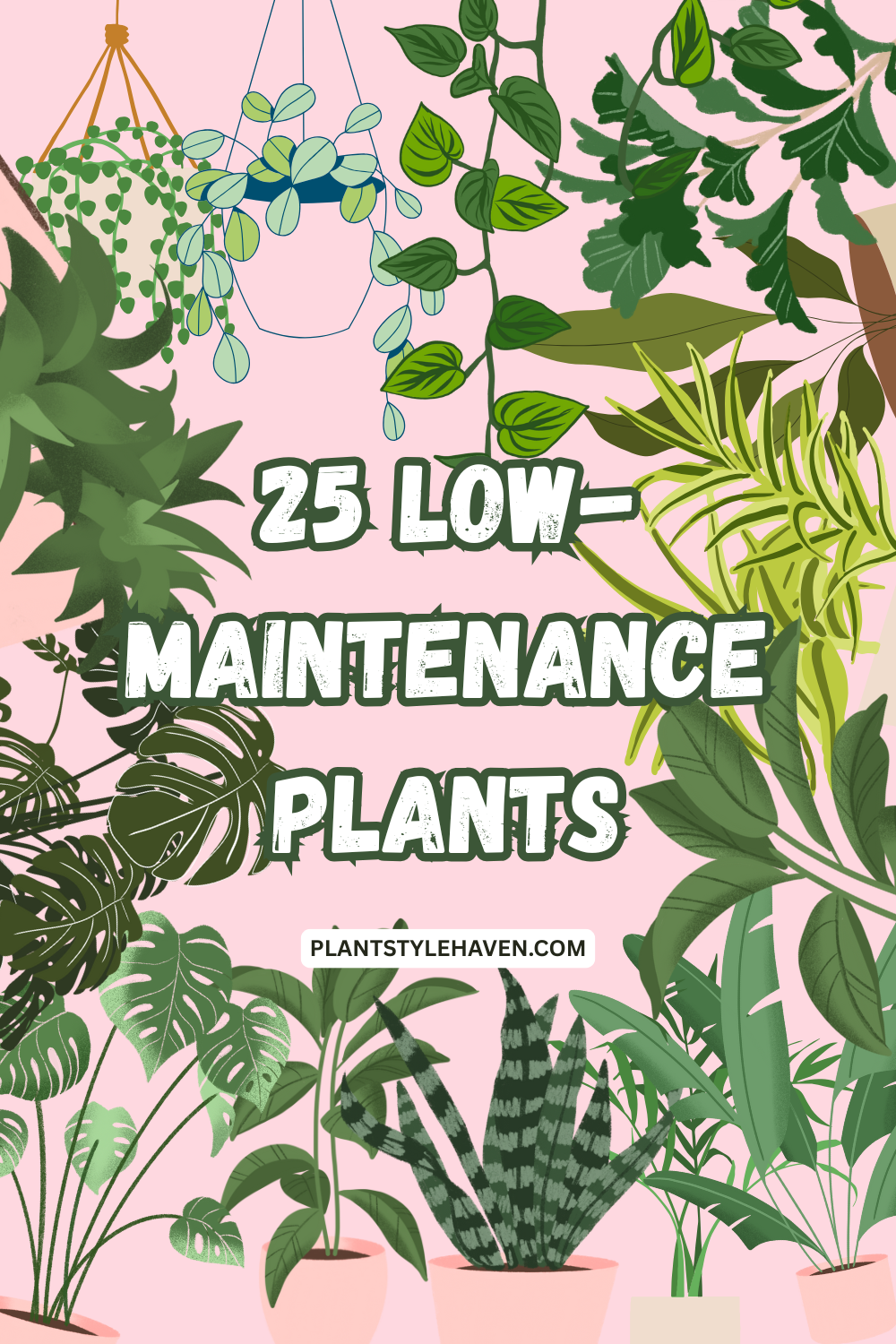 25 Low-Maintenance Plants for Effortless Elegance
