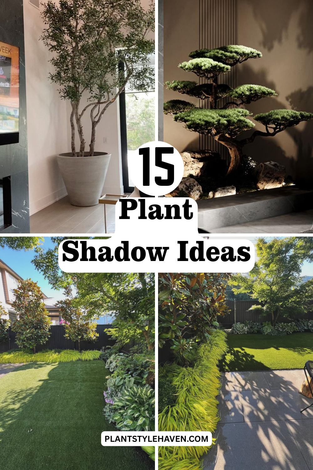 Transform Your Space with 15 Plant Shadow Ideas