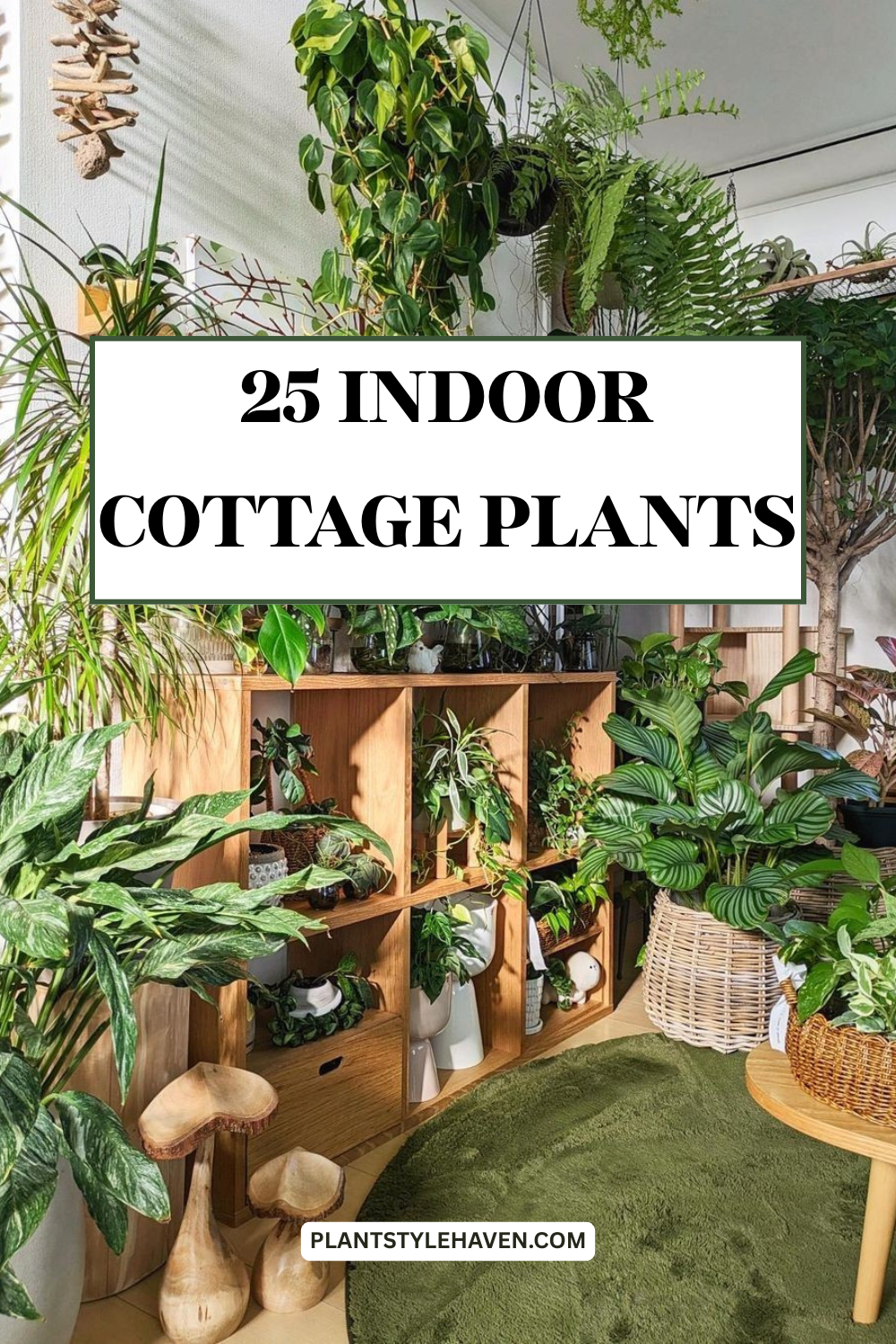 Transform Your Space with 25 Indoor Cottage Plants