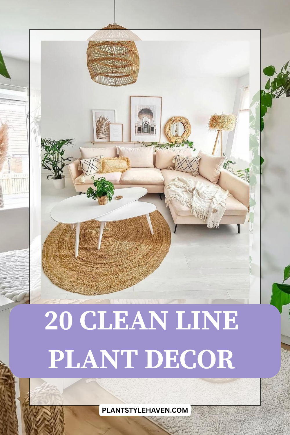 Transform Your Space with Clean Line Plant Decor