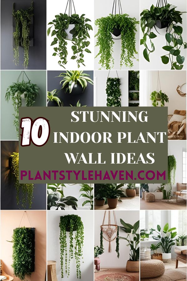 10 Stunning Indoor Plant Wall Ideas to Transform Your Space
