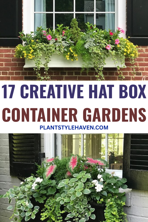 17 Creative Hat Box Container Gardens to Transform Spaces