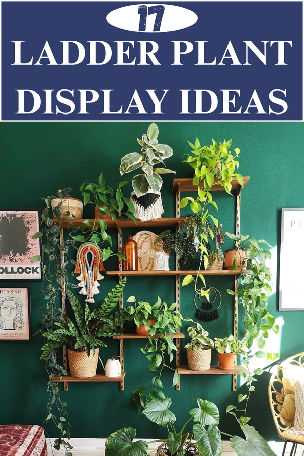 17 Creative Ladder Plant Display Ideas for Your Home