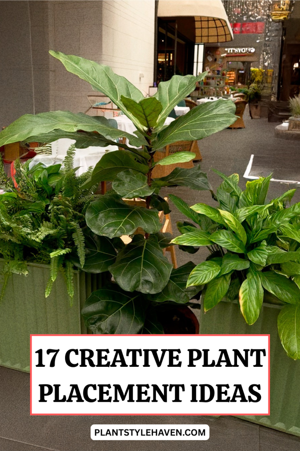 17 Creative Plant Placement Ideas to Brighten Your Space