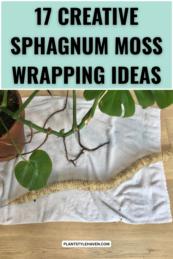 17 Creative Sphagnum Moss Wrapping Ideas for Plants