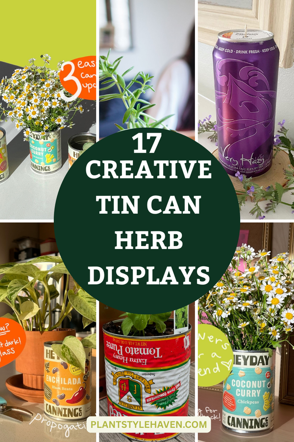 17 Creative Tin Can Herb Displays for Your Kitchen