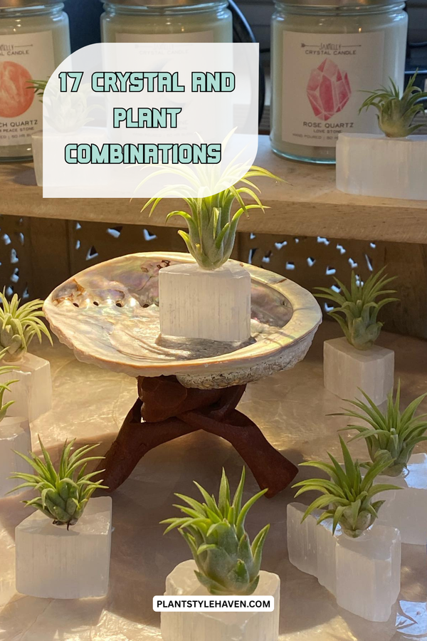 17 Crystal and Plant Combinations to Transform Your Space
